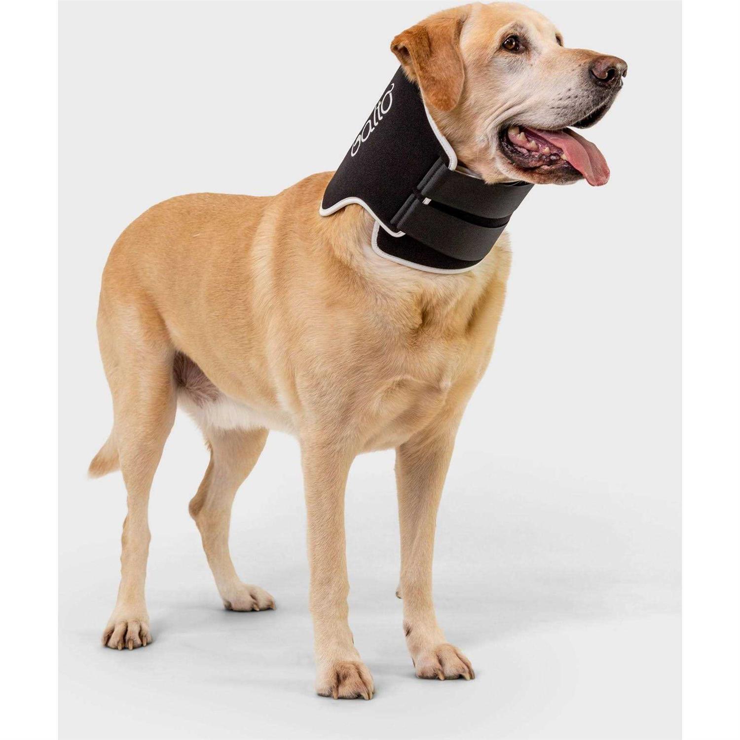 Balto Dog Cone Alternative E-Collar - Healthber
