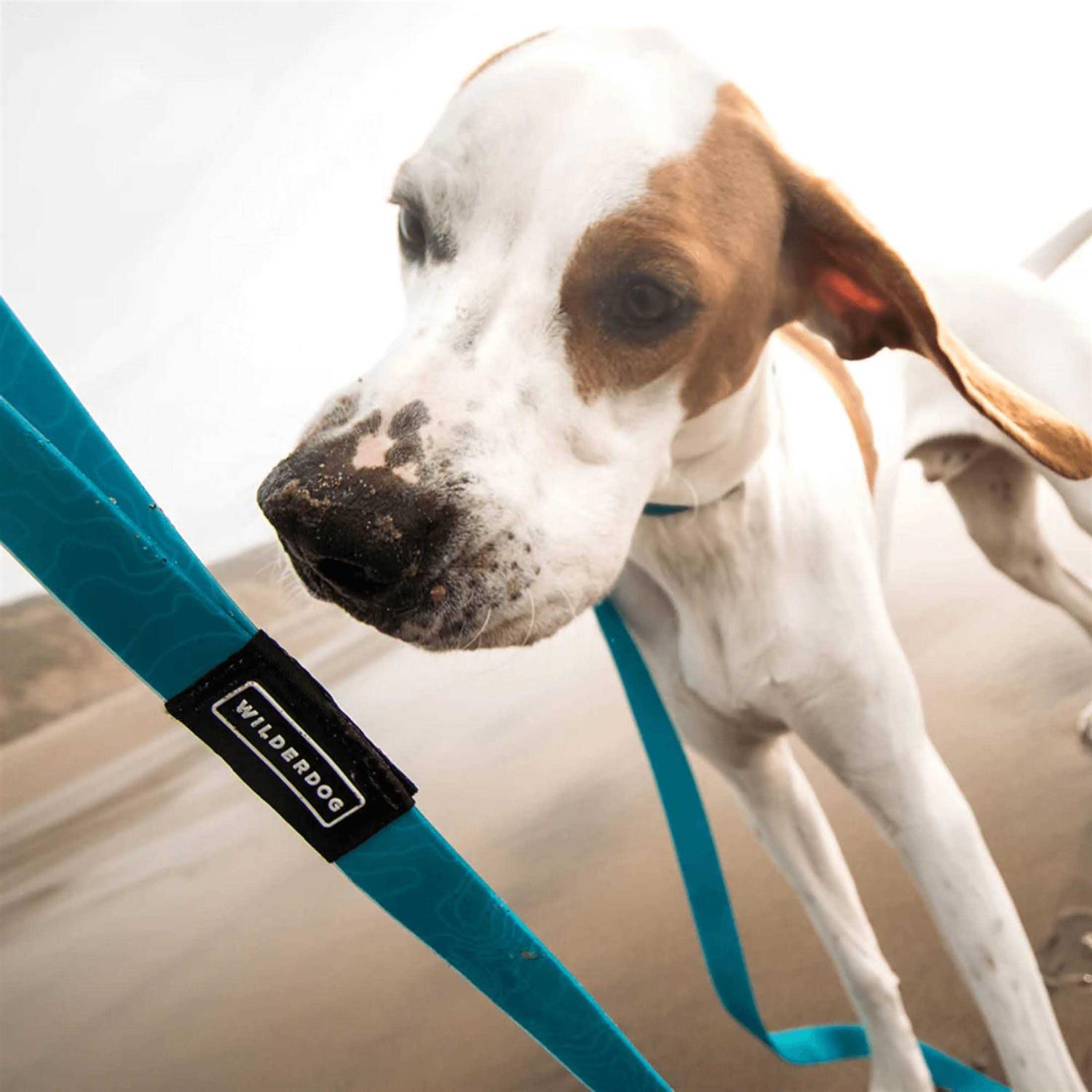 Wilderdog Waterproof Leash - Healthber
