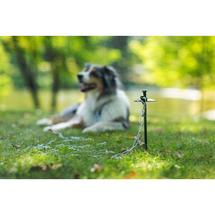 Prevue Pet Products Heavy Duty Tie-Out Chain - Healthber