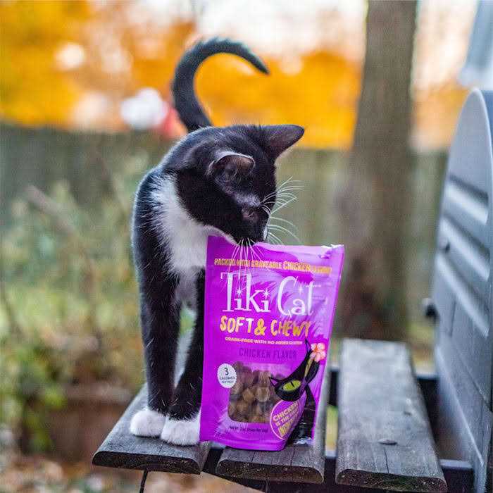 Tiki Cat Soft & Chewy Cat Treats Chicken - Healthber
