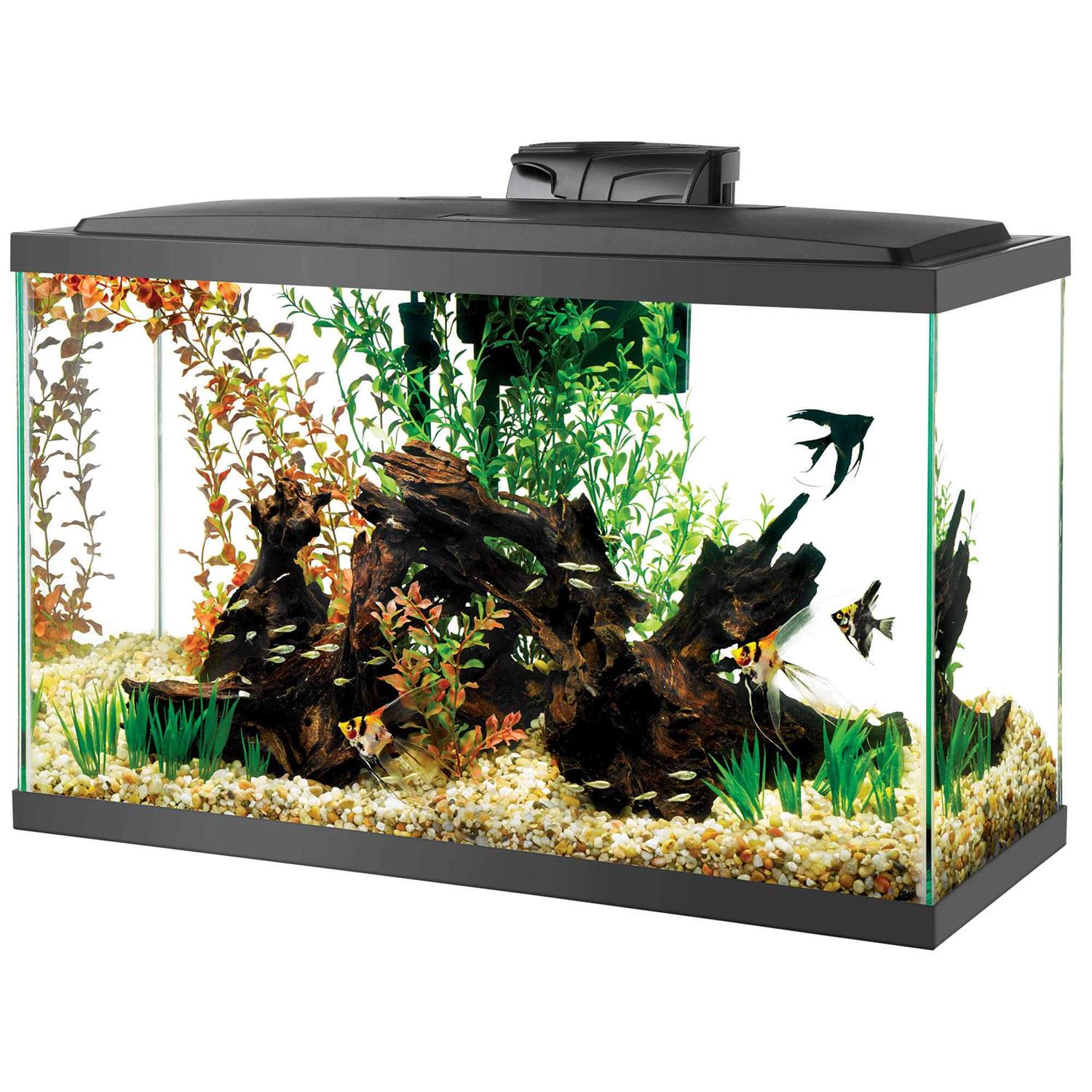 Aqueon Aquarium Kit LED - Healthber