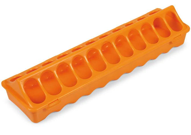Ground Chicken Feeder, Large - Healthber