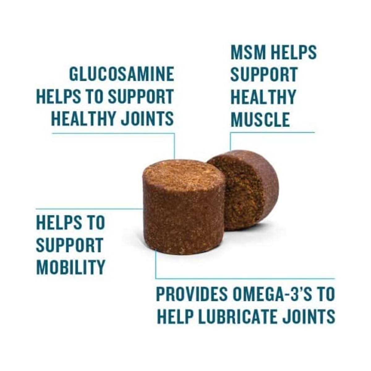 VetIQ Hip and Joint - Healthber