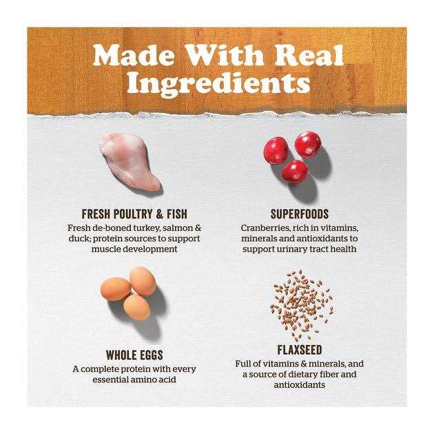 Now Fresh Grain-Free Adult Dry Cat Food - Healthber