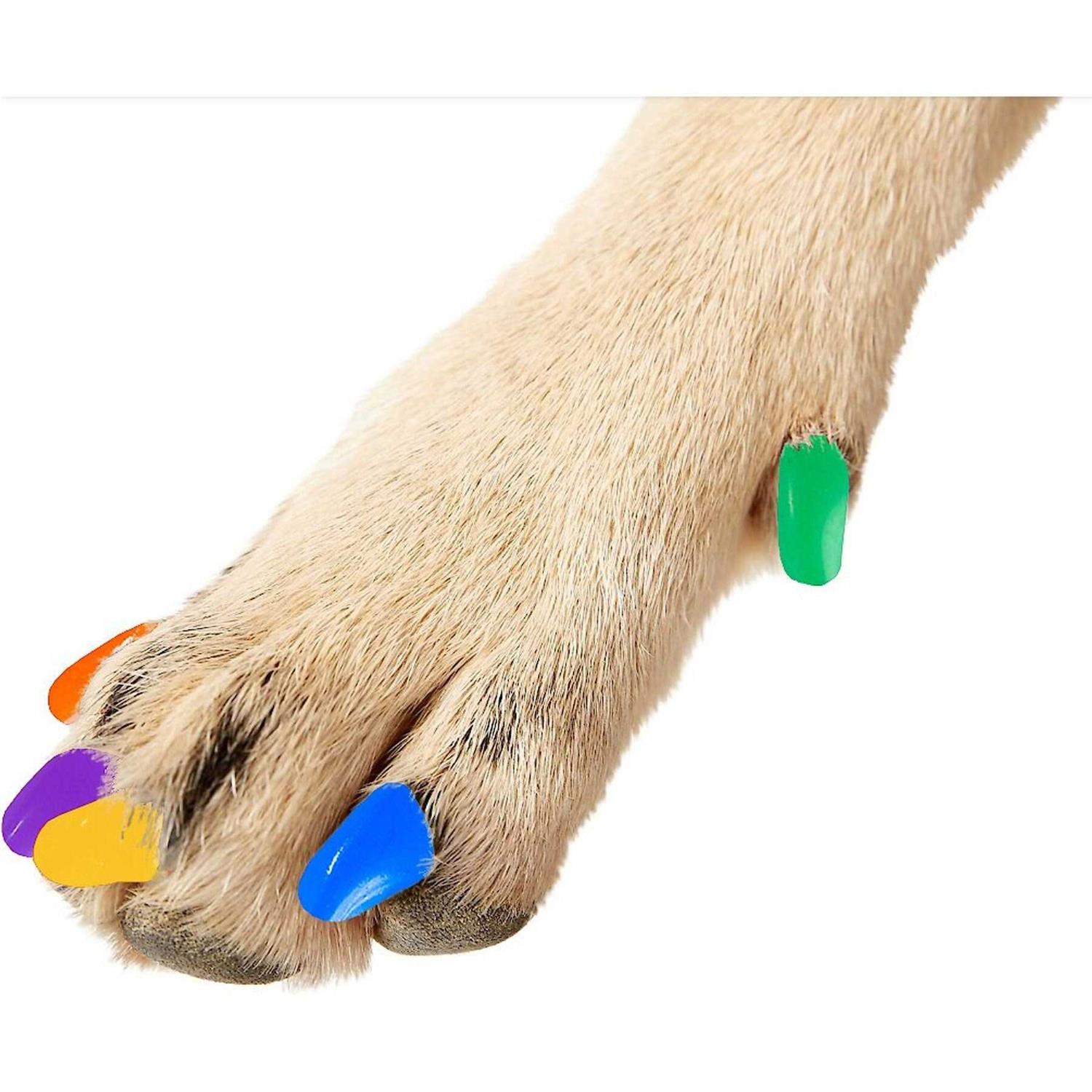 Purrdy Paws Soft Nail Caps for Dogs - Healthber