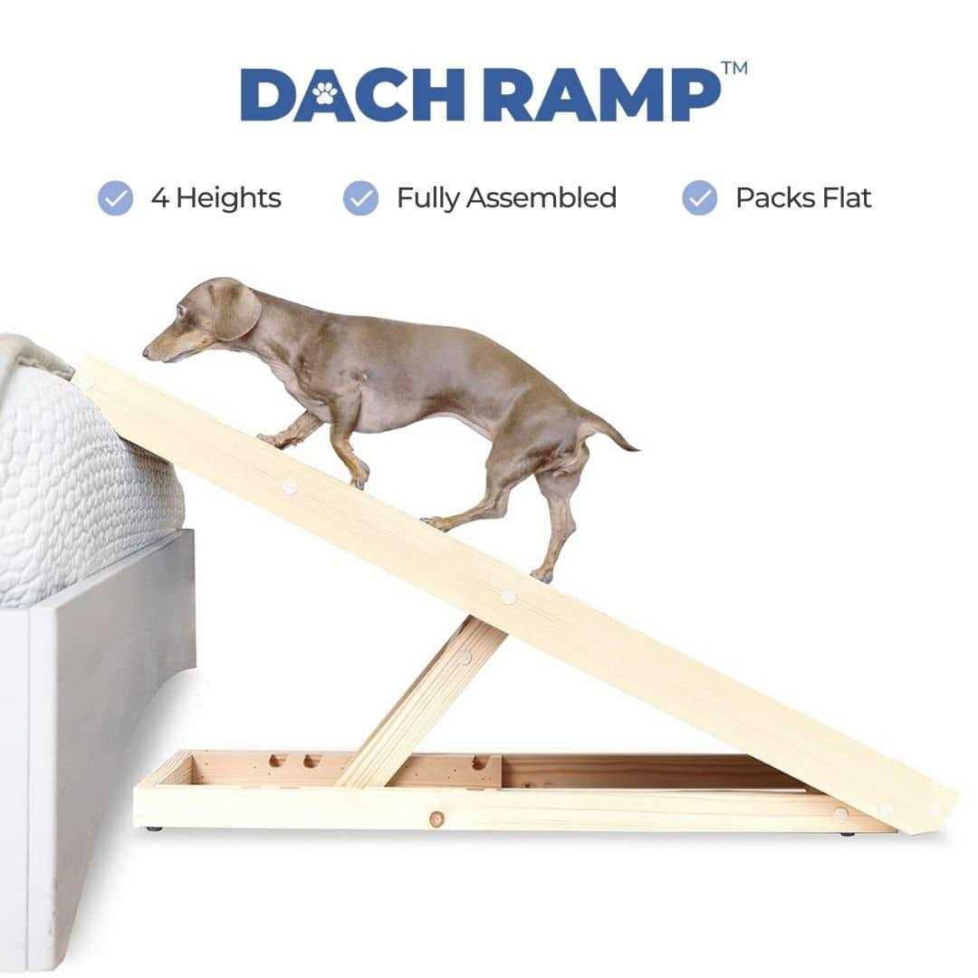 Dachramp The Original Dachshund Ramp - Healthber