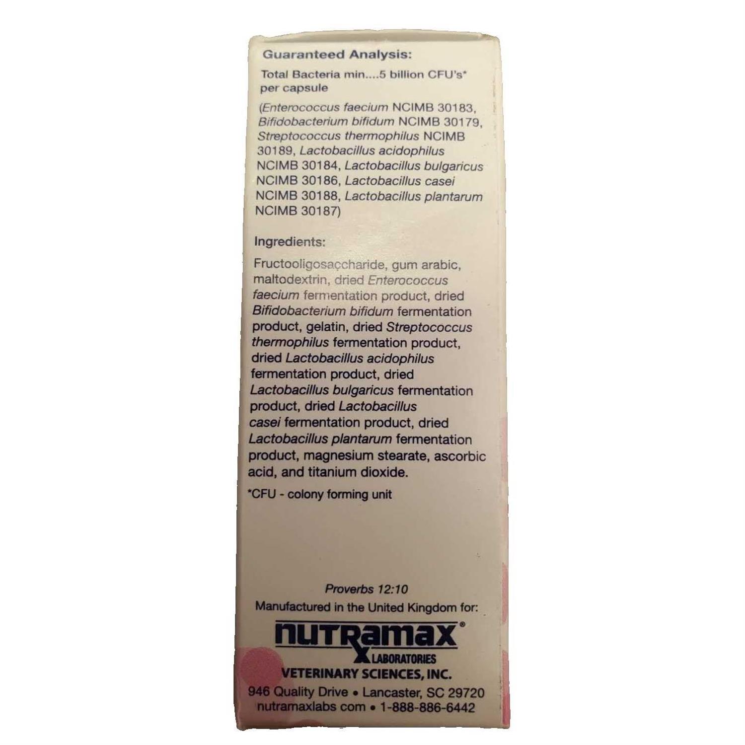Nutramax Laboratories Cat Proviable Capsules Digestive Supplement - Healthber