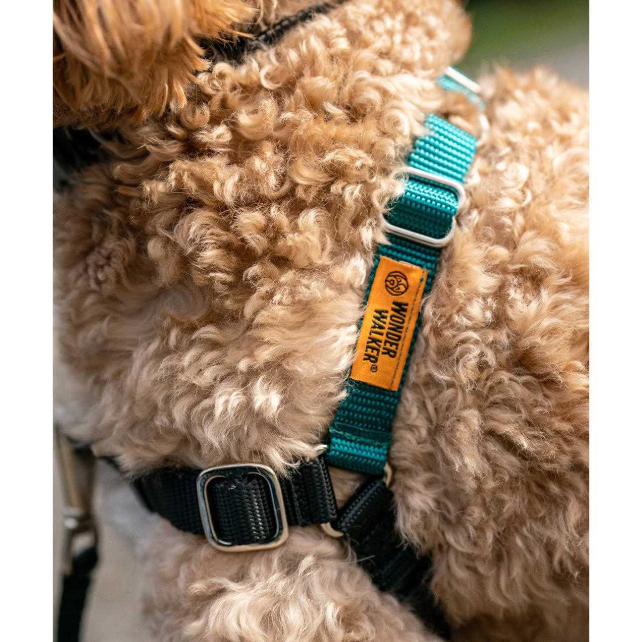 Wonder Walker Body Halter Dog Harness - Healthber