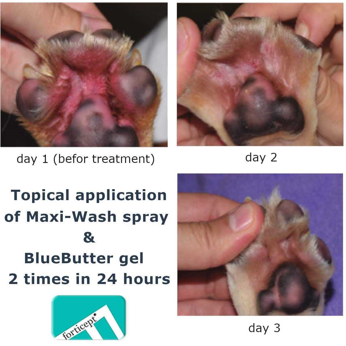 Forticept Blue Butter Hot Spot Treatment for Dogs & Cats Dog Wound Care - Healthber