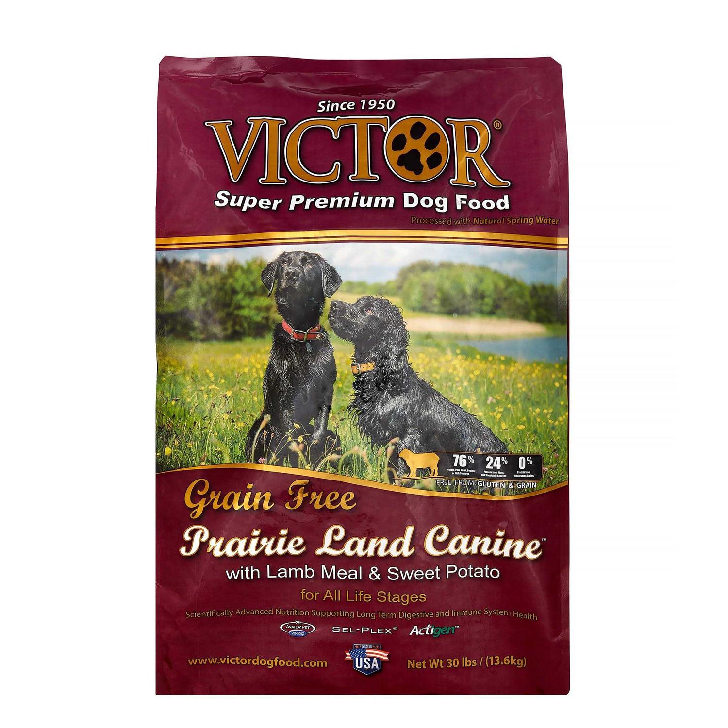 Victor Grain Free Lamb Meal Dry Dog Food - Healthber