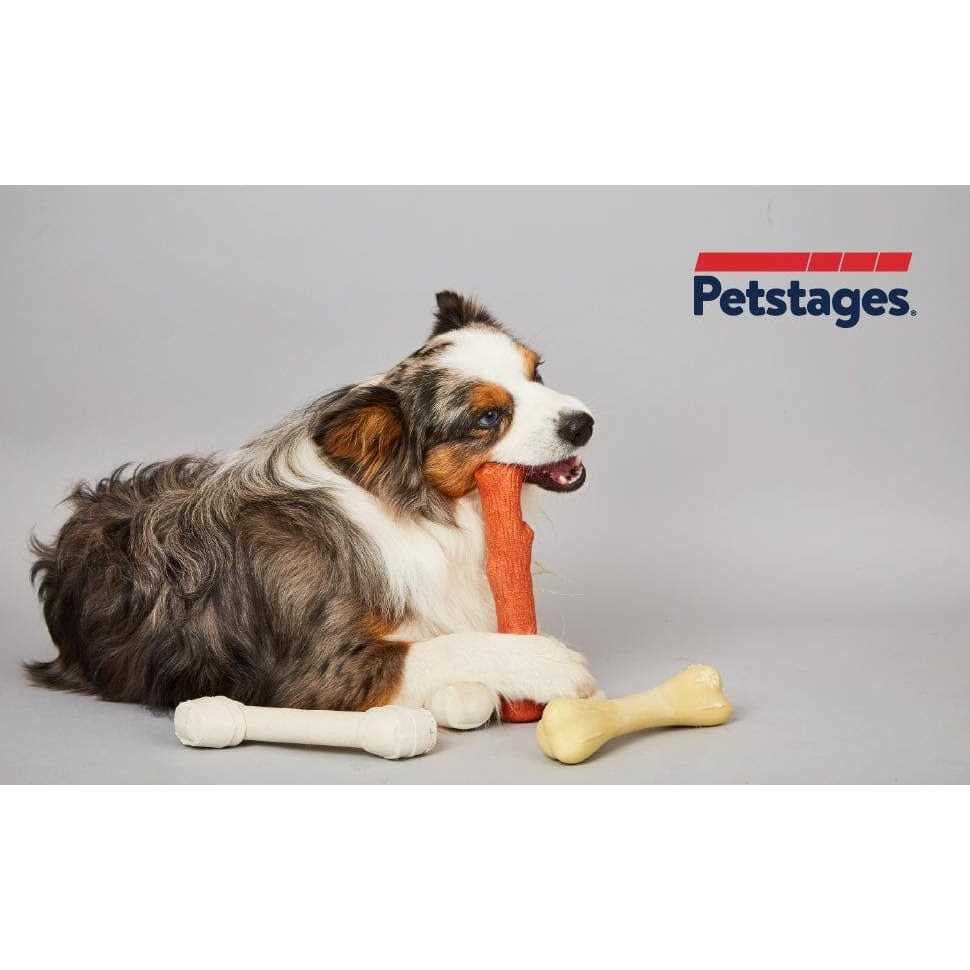 Petstages Dogwood Stick Dog Chew Toy - Healthber