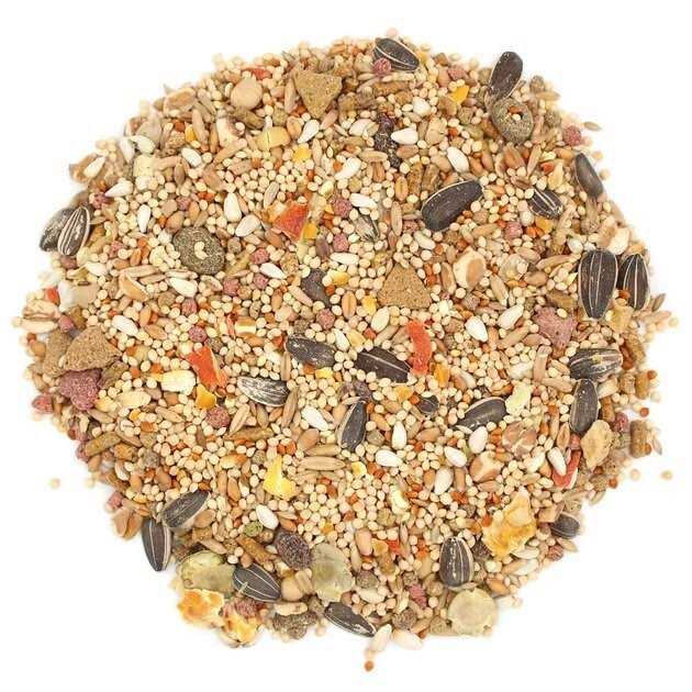 Sunseed Vita Prima Cockatiel & Lovebird Food - Healthber