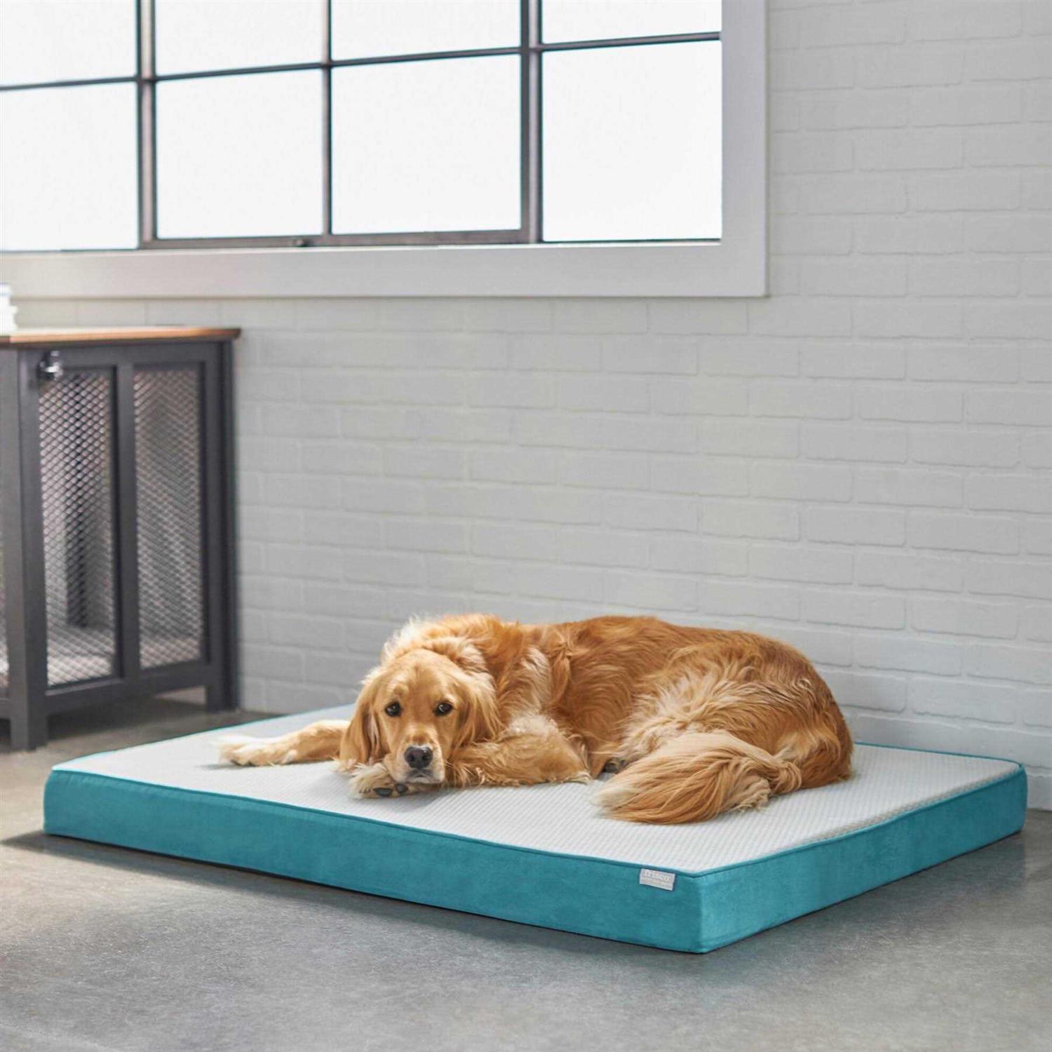 Frisco Cooling Orthopedic Pillow Dog Bed w/Removable COVER Large - Healthber