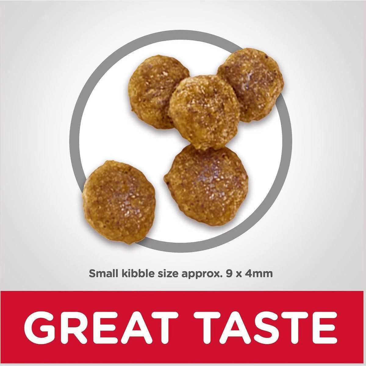 Science Diet Dog Food Recipe - Healthber