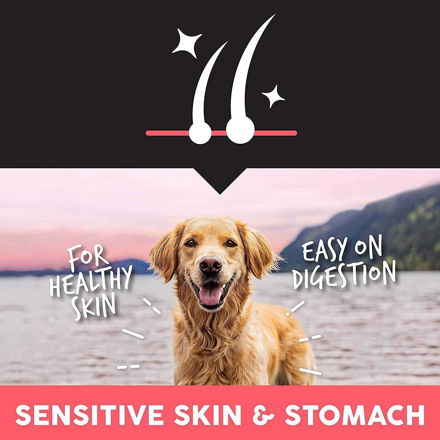 Ultimates Sensitive with Salmon Protein Dry Dog Food - Healthber