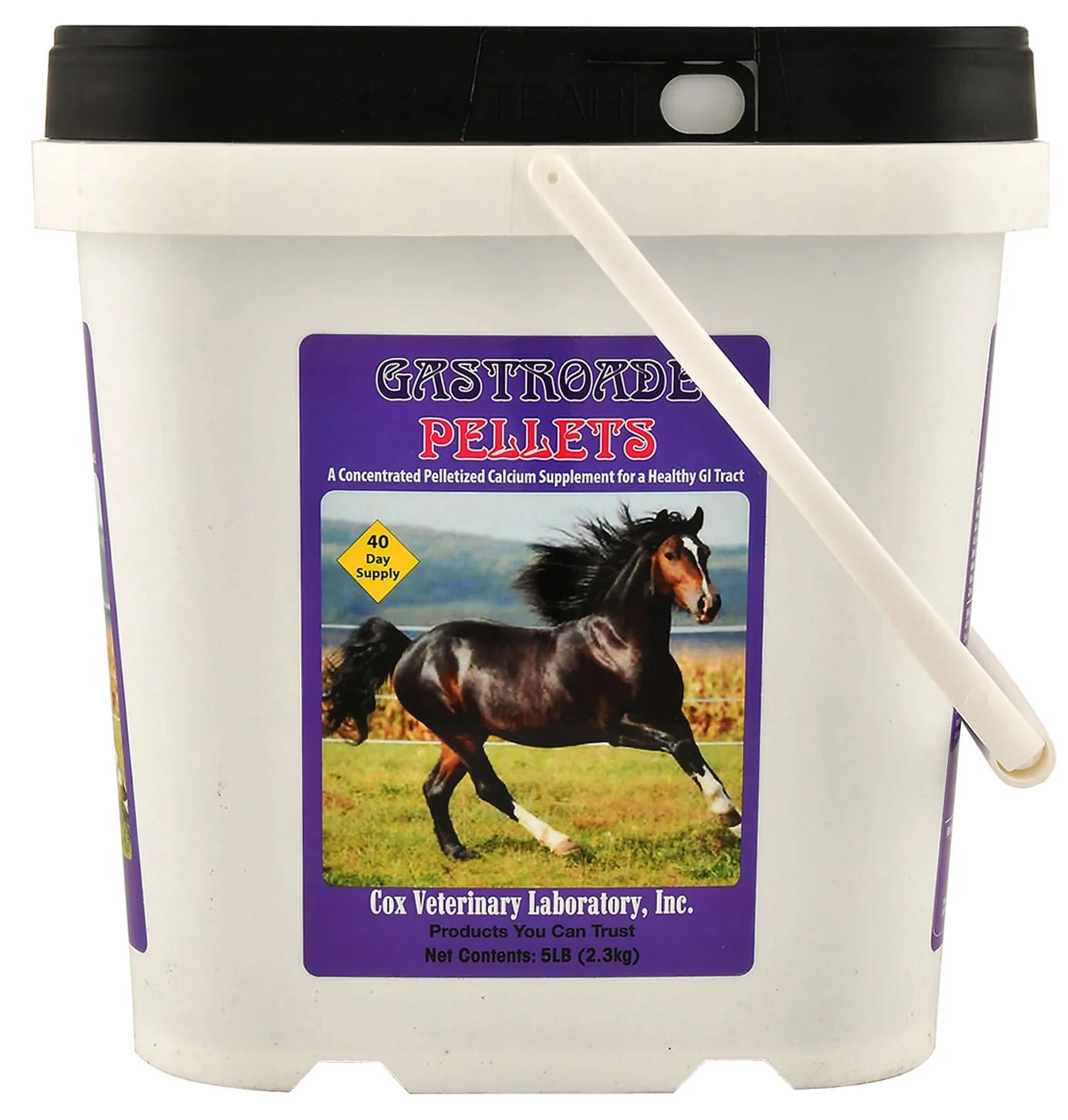 Gastroade Pellets for Healthy GI Tract in Horses - Healthber