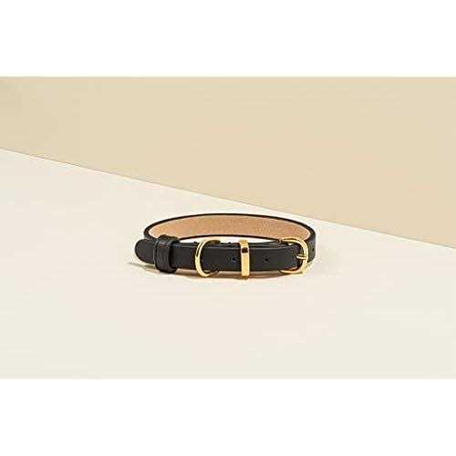Scamper & Co Genuine Leather & Microfiber Bejeweled Circular Stud Dog Collar - Healthber