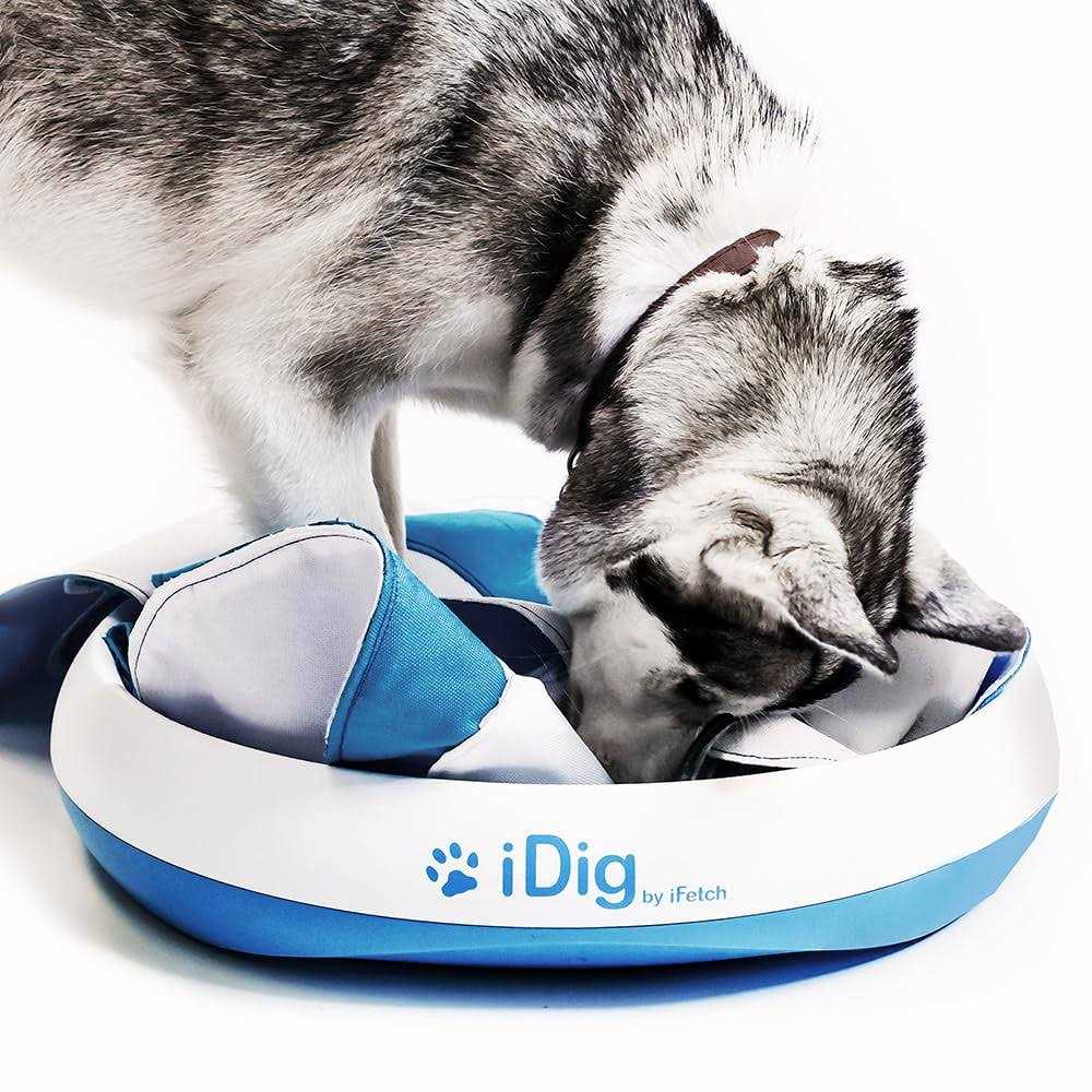 iFetch iDig Stay Digging Toy for Dogs - Healthber