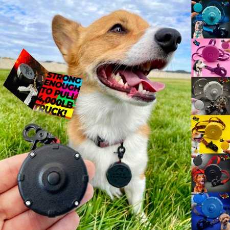 Jet Black + Free Lazy Leash! Mini Wearable Lightweight Power Lead for Adventure, Training, Fun & Control. 2 Retractable Clip-On Keychain Dog Leashes. - Healthber