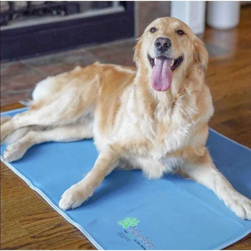 Green Pet Shop Cool Pet Pad - Healthber