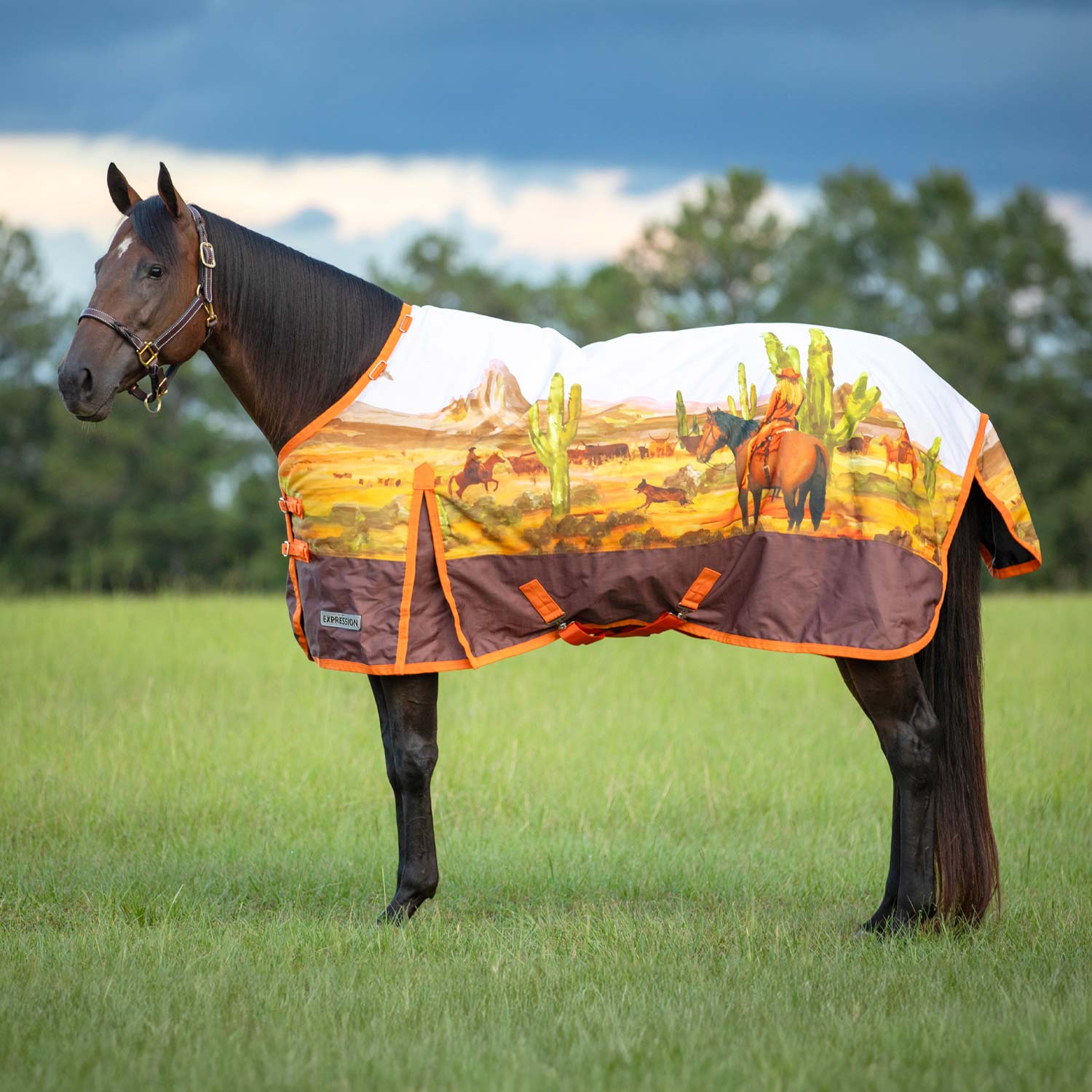 Expression 1200 Denier Standard Neck Turnout Blanket, 240 Gram, Cattle Drive - Healthber