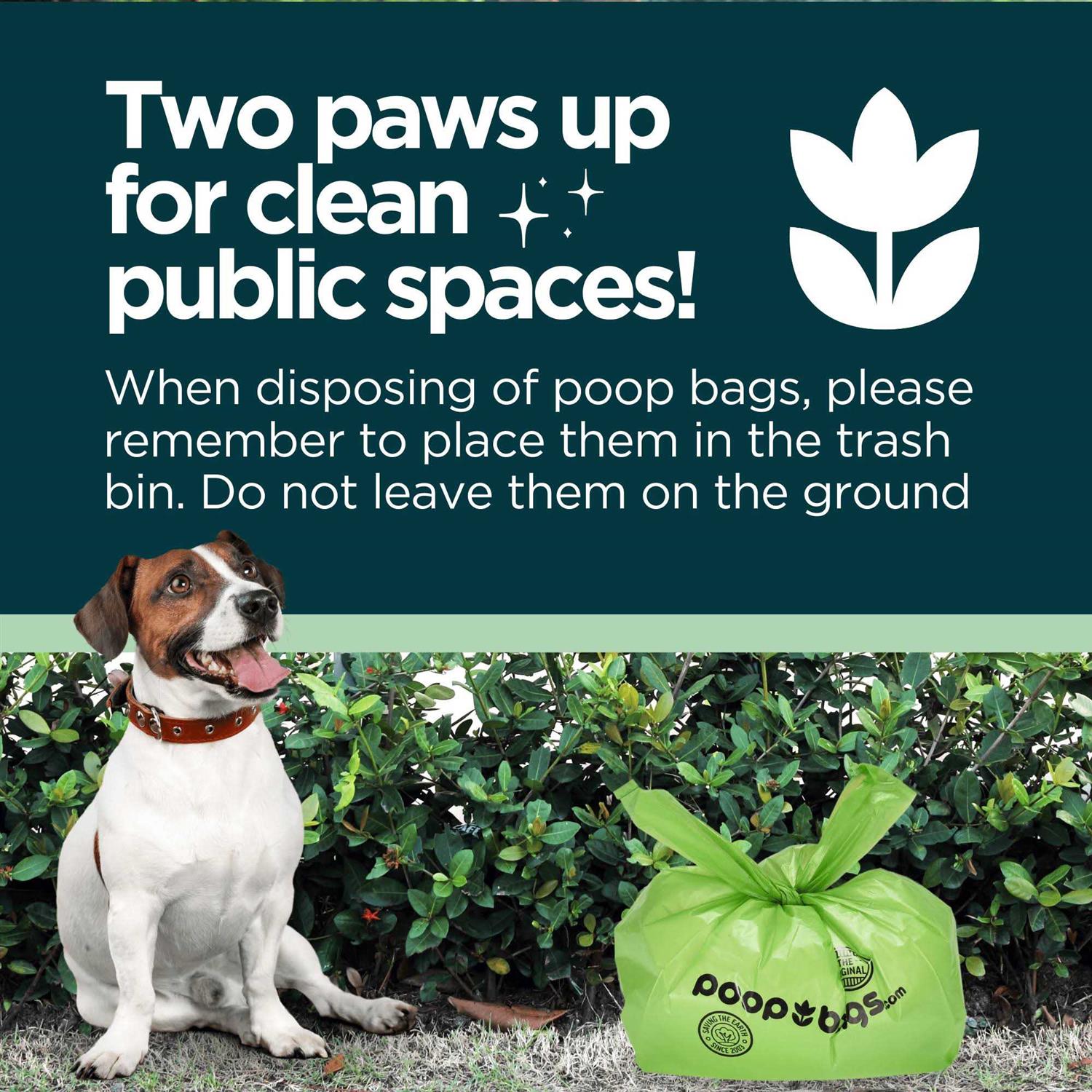 The Original Poop Bags Handle Tie Waste Bags - Healthber