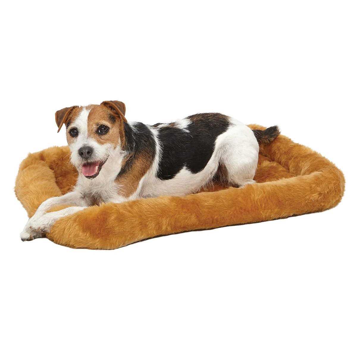 Midwest Pet Bed - Healthber