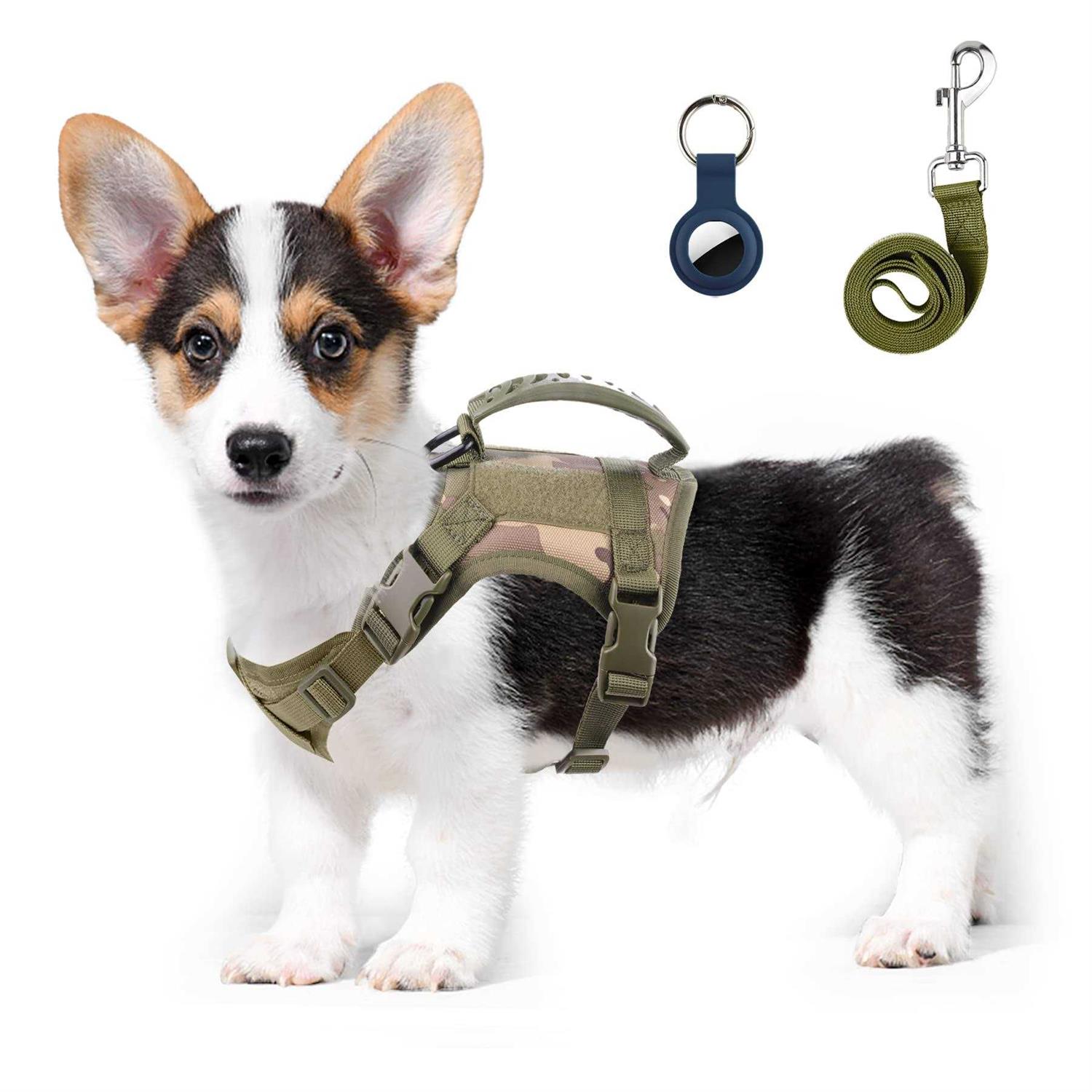 Annchwool Tactical Dog Harness for Small Dogs with Handle, Military Service Dog Vest and Leash Set for Outdoor Training Walking Hiking - Healthber