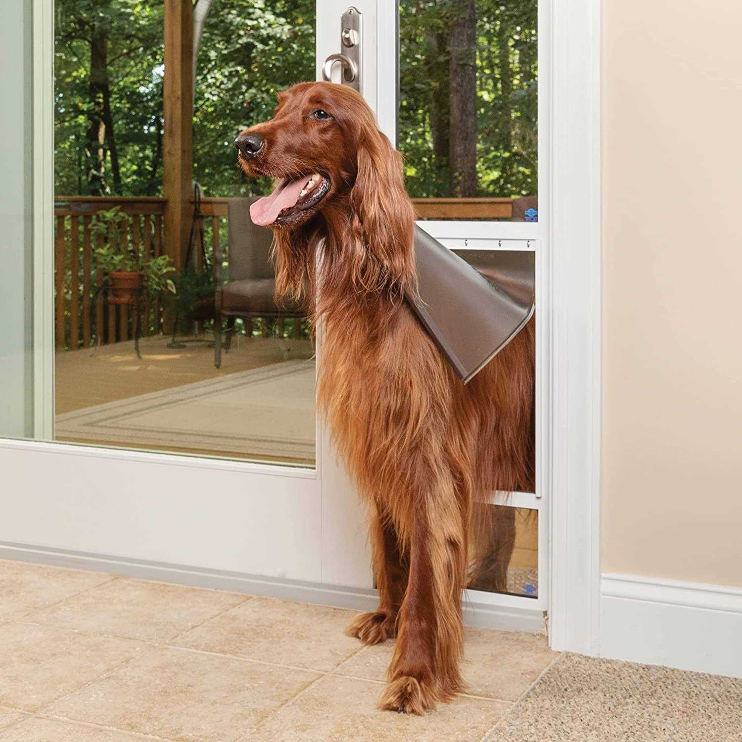 PetSafe Freedom Patio Panel Pet Door - Healthber