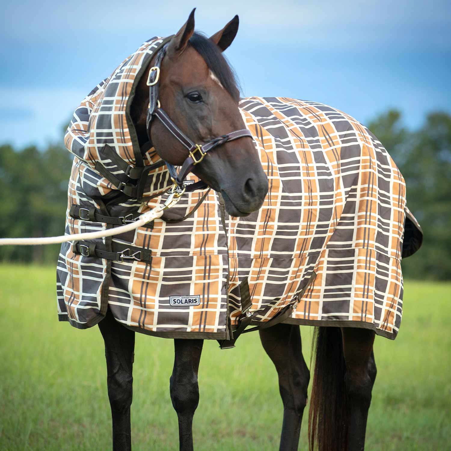 Solaris Horse Turnout Blanket with Neck Rug, 1200D, Medium Weight 240g Fill, Brown & Cream Plaid - Healthber