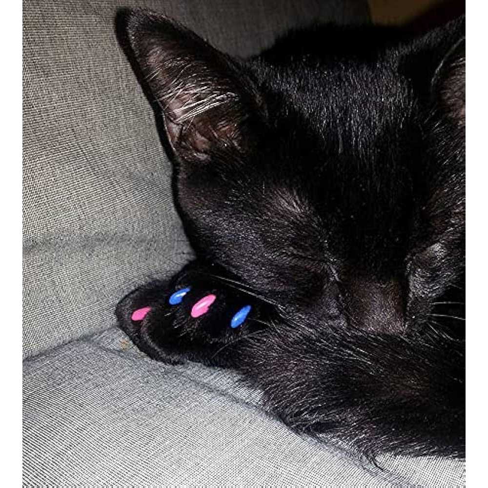Purrdy Paws Soft Nail Caps for Cat Claws - Healthber