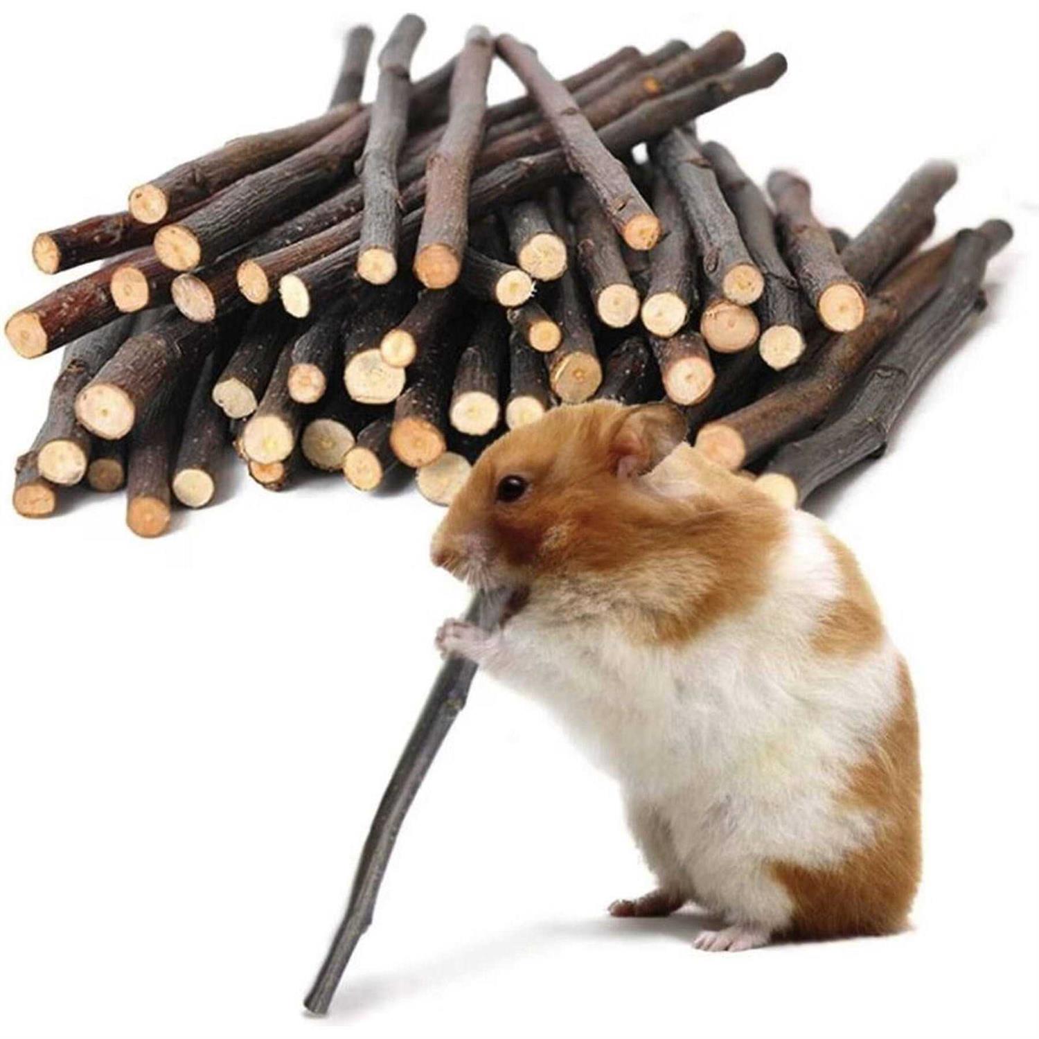SunGrow Apple Sticks 200g Wood Chew Sticks for Rabbits Chinchillas - Healthber