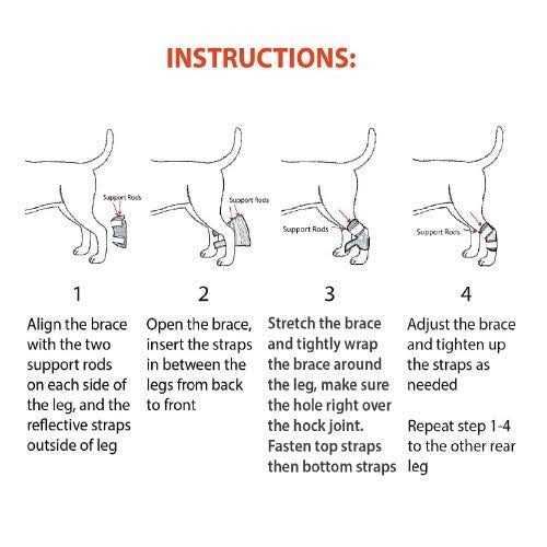 NeoAlly Dog Rear Leg Hock Metal Spring Strips - Healthber