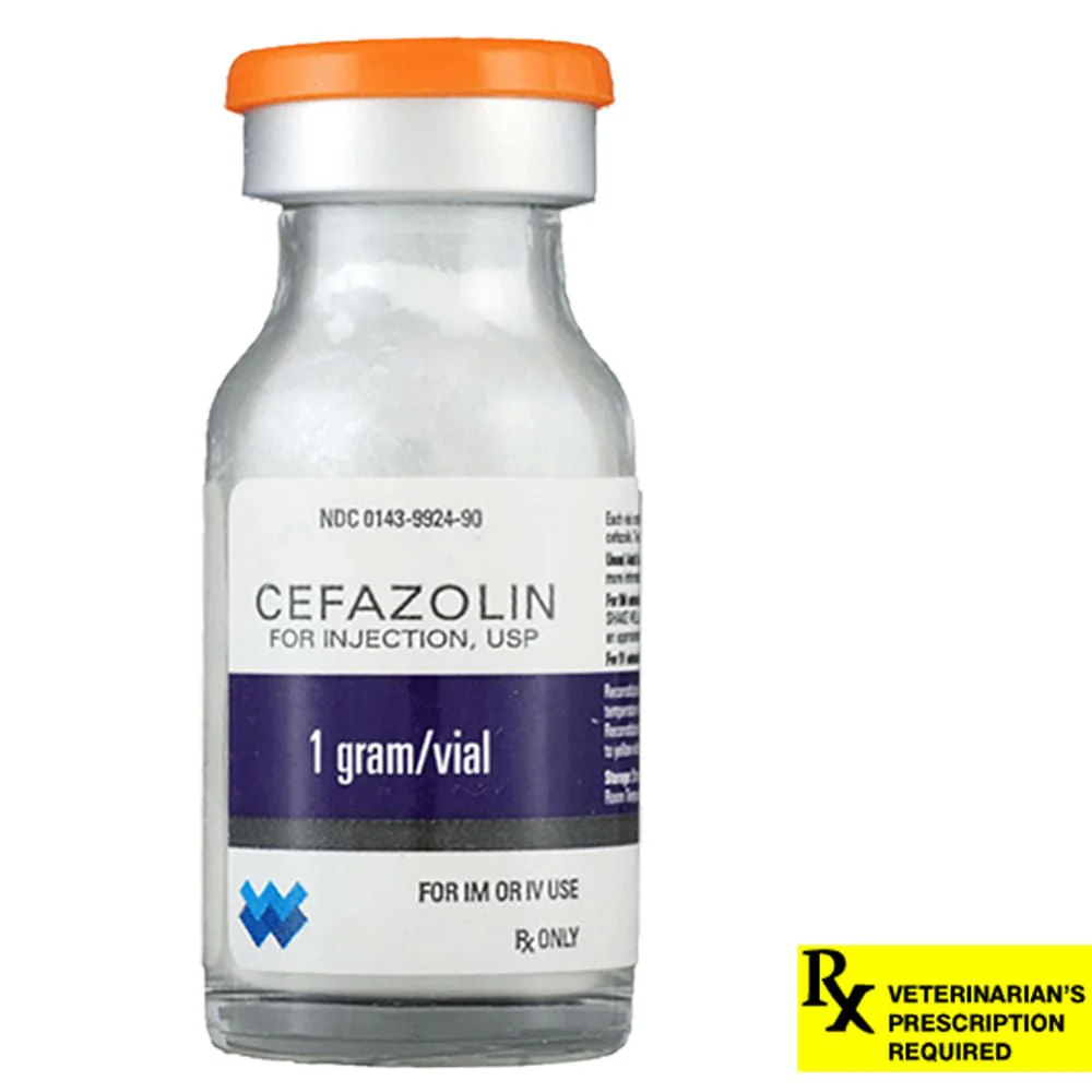 Rx Cefazolin, 1 gm Vial - Healthber