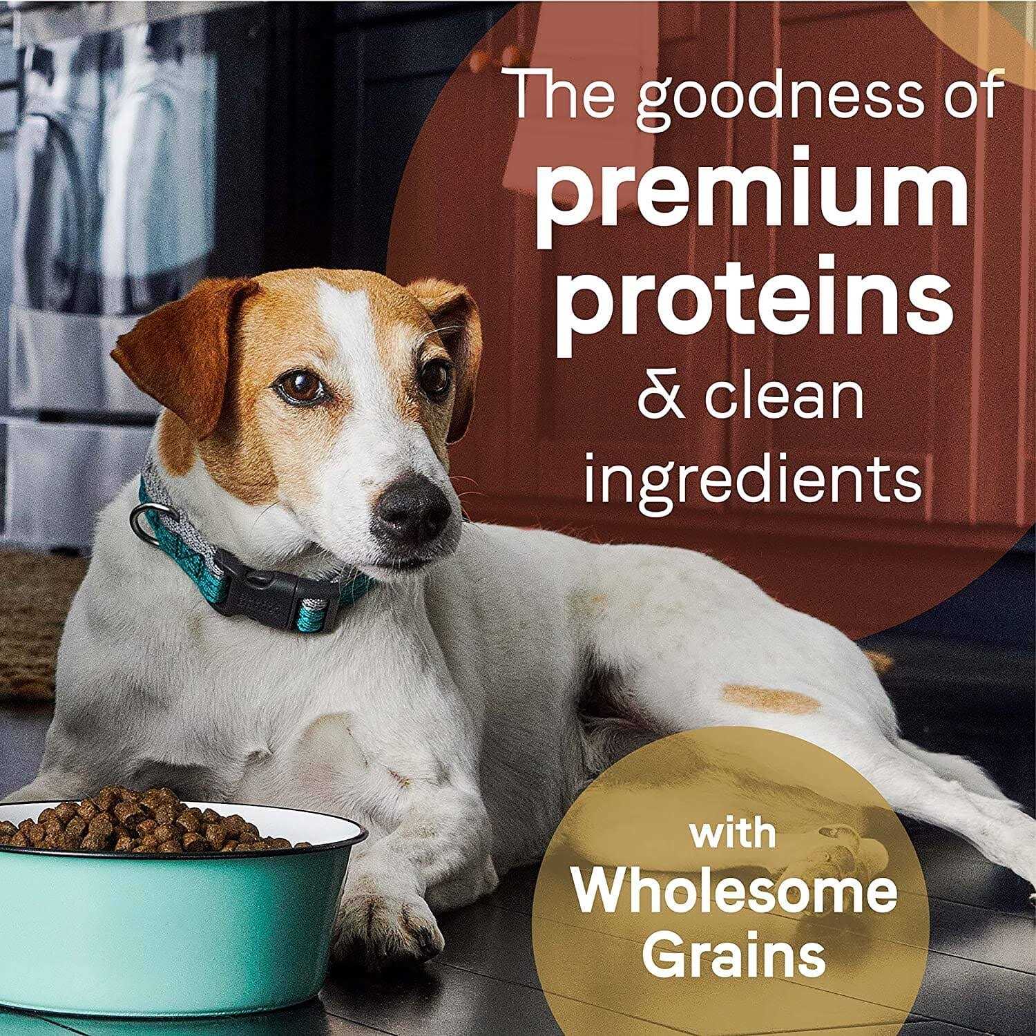 Canidae Pure Real Beef & Barley Recipe Dry Dog Food - Healthber