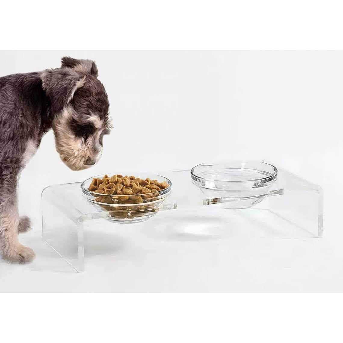 Feoyoho Acrylic Elevated Dog Cat Bowls Pet Feeder Double Bowl Raised Stand Comes with 2 Removable Glass Bowls and 2 Stainless Steel Bowls.Perfect for cats - Healthber