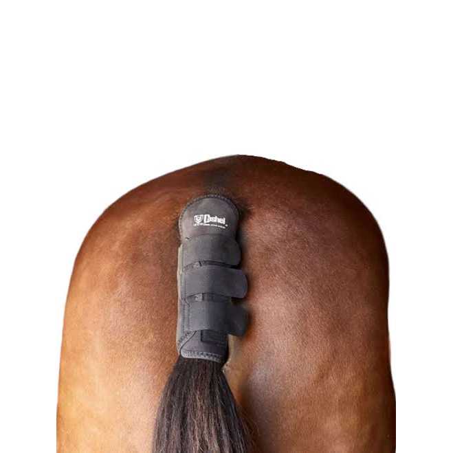 Cashel Tail Shield - Healthber