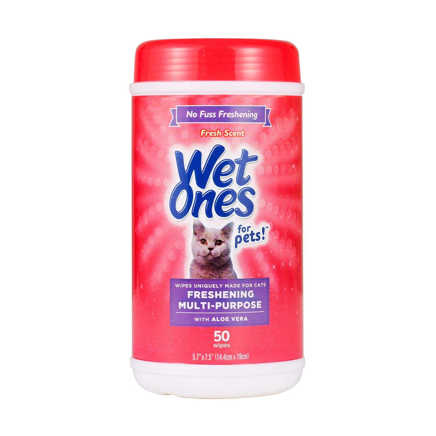 Wet Ones Wipes - Healthber