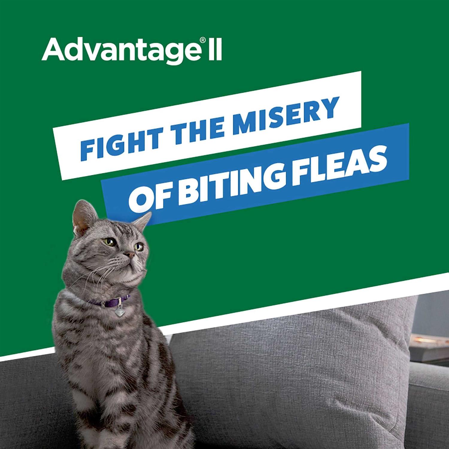 Advantage II Flea Treatment Small Cats - Healthber