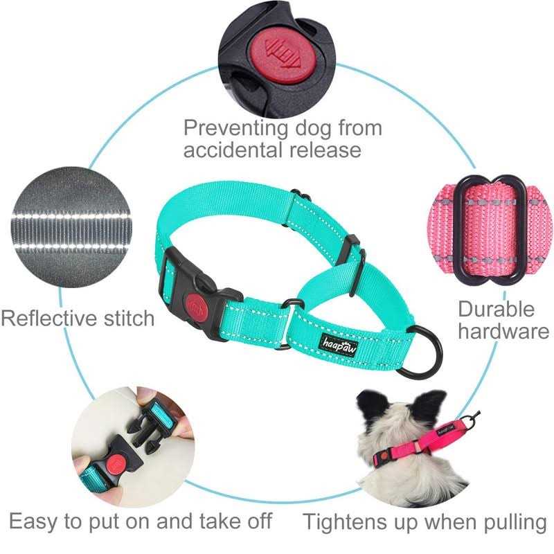 Haapaw 2 Packs Martingale Dog Collar with Quick Release Buckle Reflective Dog Training Collars for Small Medium Large Dogs - Healthber