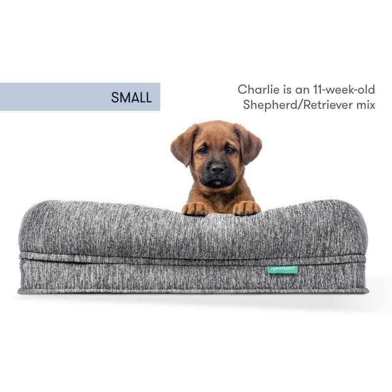 Newton Baby Newton Orthopedic Pet Bed Washable Dog Bed Dogs Puppy Bed - Healthber