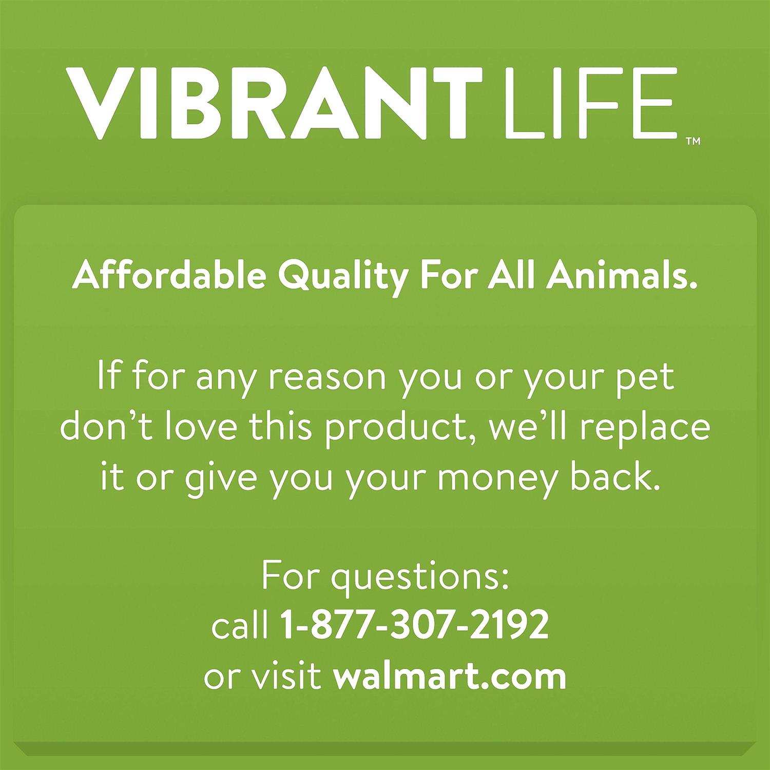 Vibrant Life Small Seagrass Scratch and Play Post - Healthber