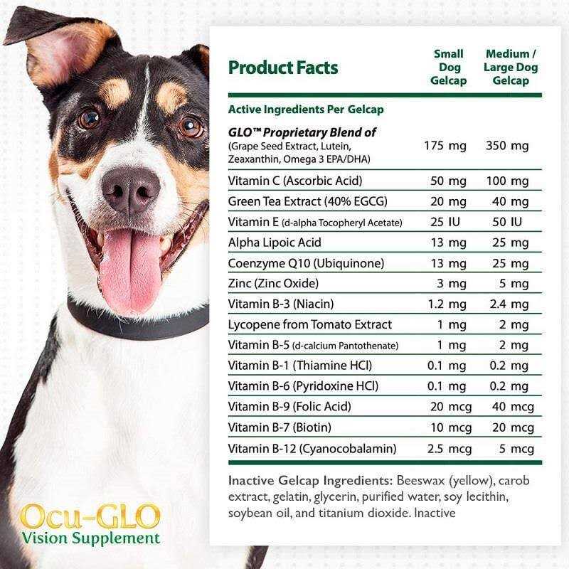 Ocu-gLO for Medium to Large Dogs - Healthber