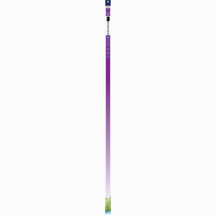 Aqueon Aquarium Lamp Beauty Max LED Size - Healthber