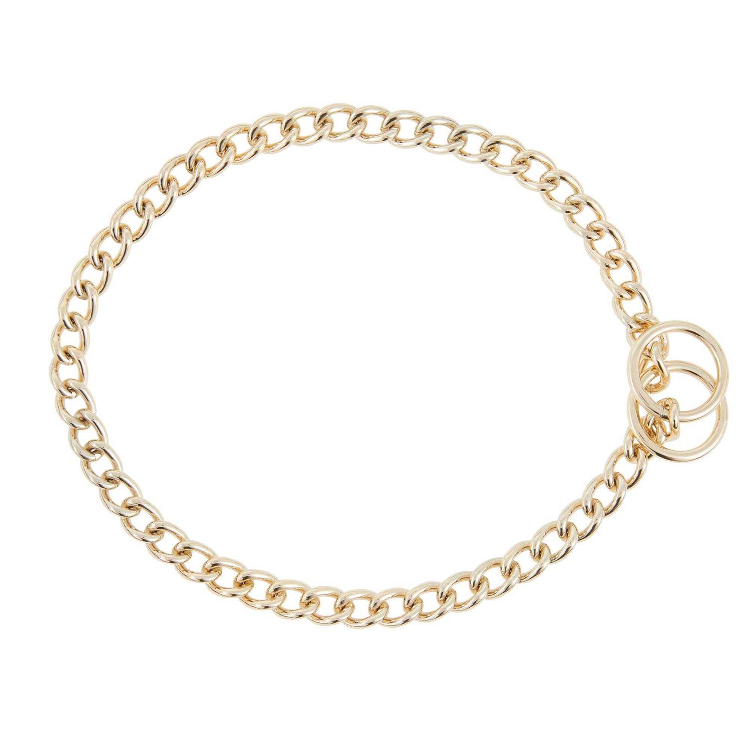 Top Paw Choke Chain Dog Collar - Healthber