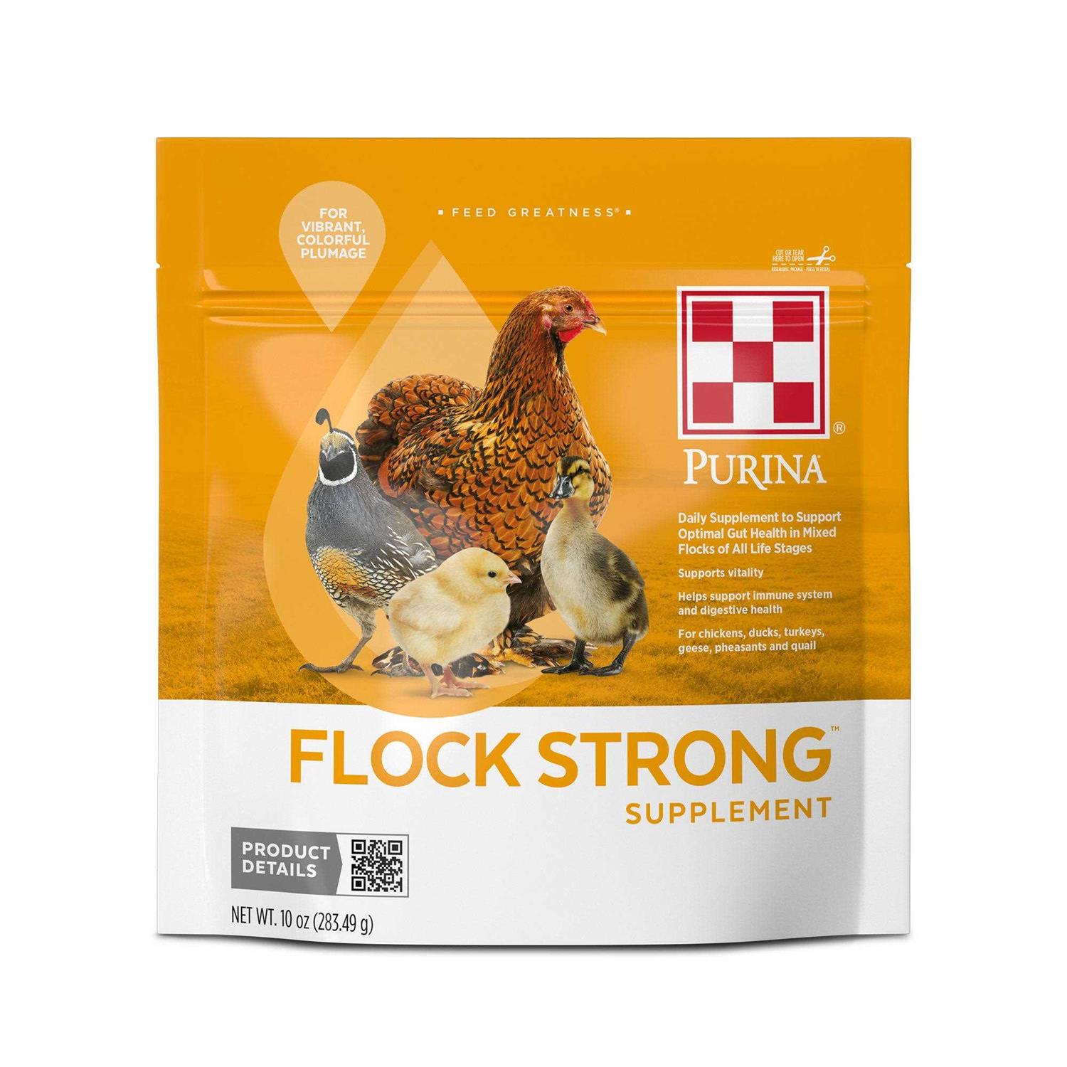 Purina Flock Strong Poultry Supplement - Healthber
