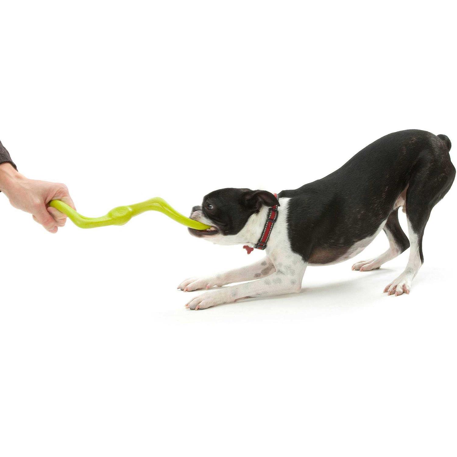 West Paw Bumi Dog Toy - Healthber