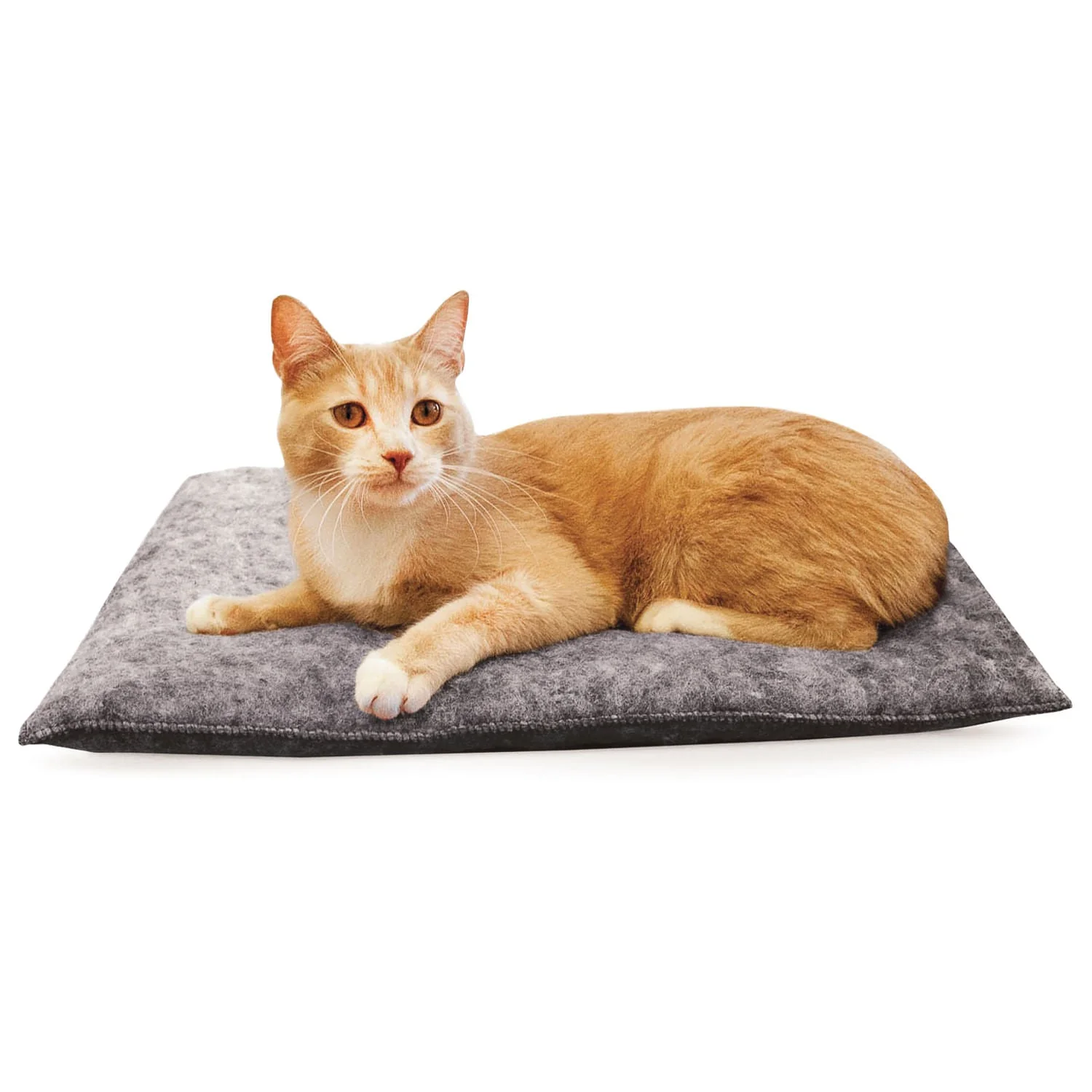 Amazin' Kitty Pad, 3 pk - Healthber