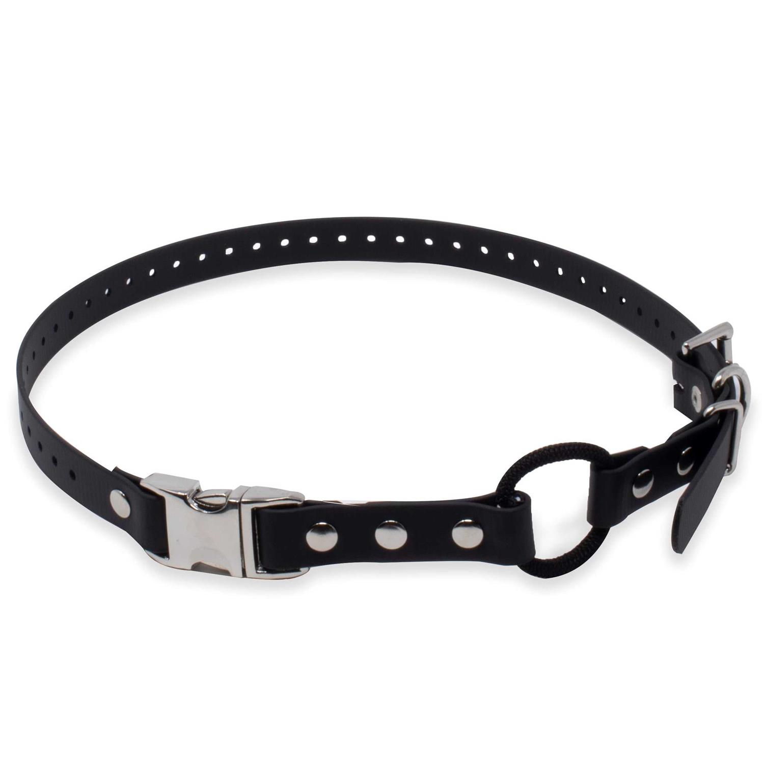 Educator Quick Snap Bungee Collar - Healthber