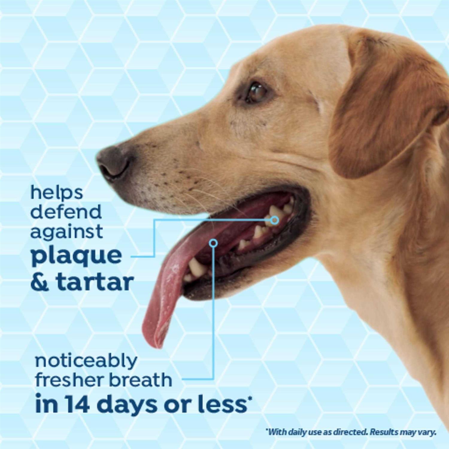 TropiClean Fresh Breath Dog Dental Health Solution - Healthber